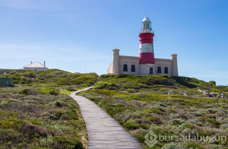 Agulhas Burnu
