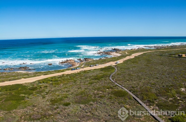Agulhas Burnu