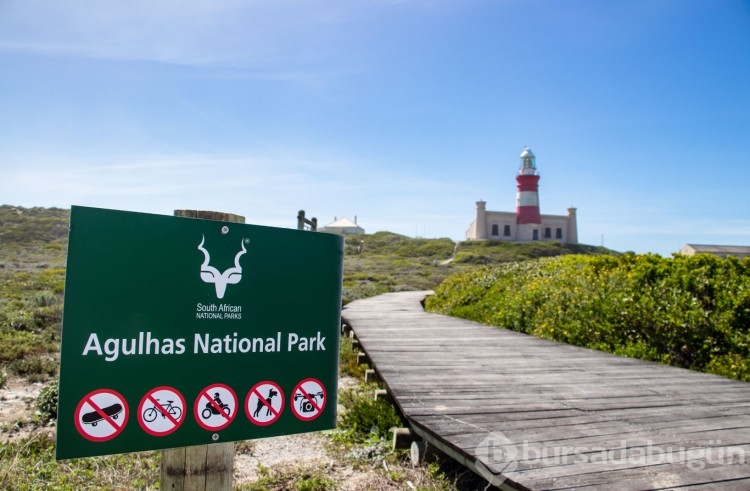 Agulhas Burnu