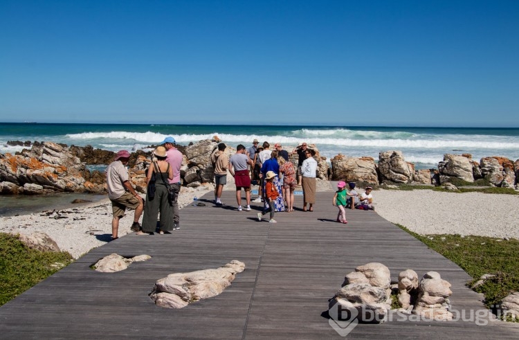 Agulhas Burnu