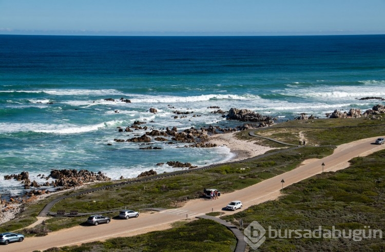 Agulhas Burnu