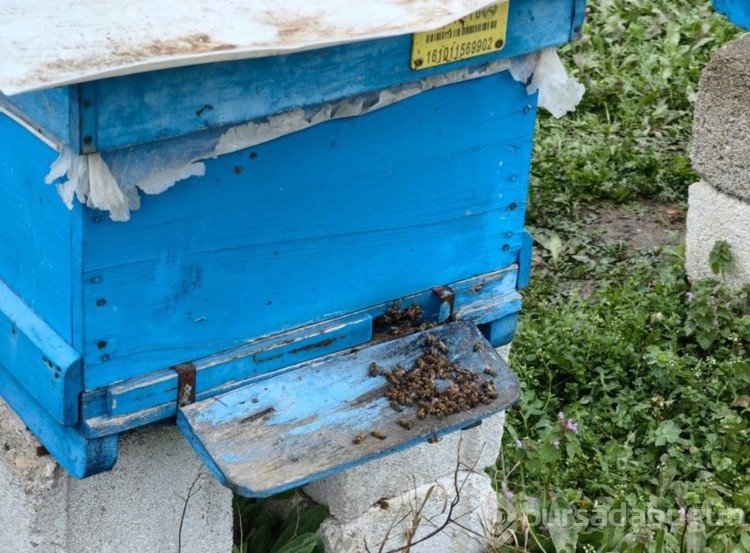 Çiftçilerimiz kendi ayağına kurşun sıkıyor