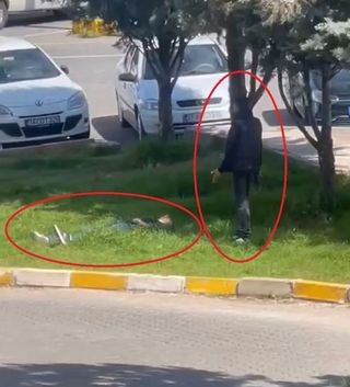 Başında beklemişti! İşte cinayetin nedeni!