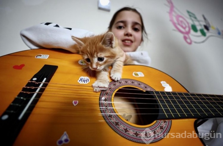 Karamel ile 4 yavrusu öğrencilere neşe kaynağı oldu