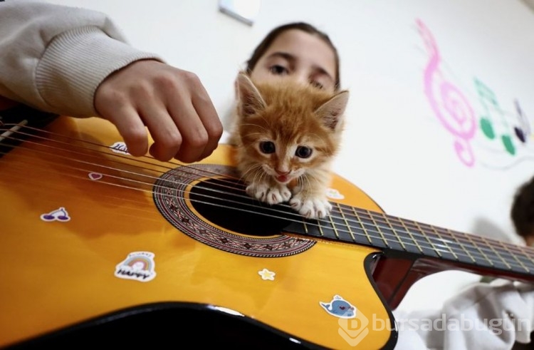 Karamel ile 4 yavrusu öğrencilere neşe kaynağı oldu