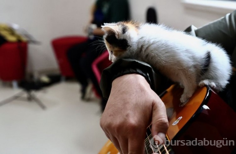Karamel ile 4 yavrusu öğrencilere neşe kaynağı oldu