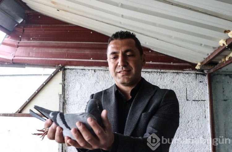 Kurtardığı güvercinlerini arkadaşına emanet etti