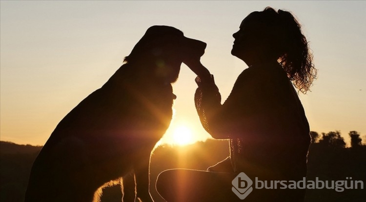 Sigarayı bırakmanın ardındaki en büyük motivasyonlardan biri evcil hayvanlar