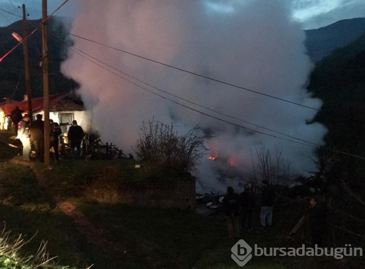 3 ev yandı, 1 kişi yaralandı; kundaklama iddiası