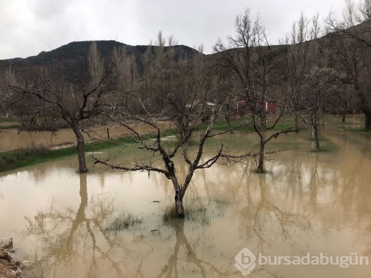 Gümüşhane'de bahçeler su altında kaldı