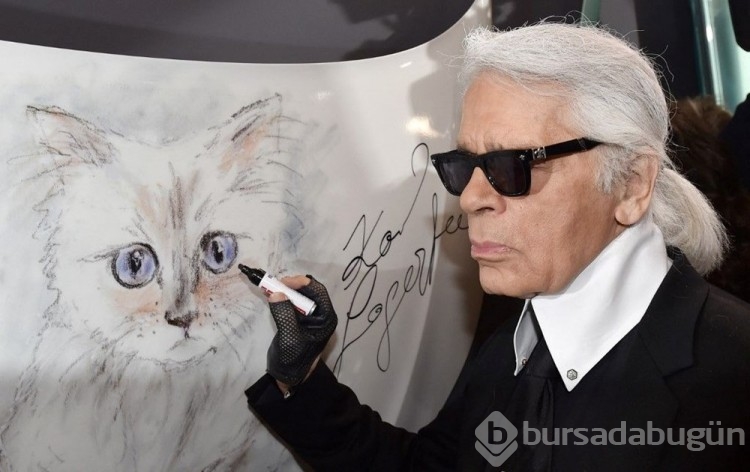 Karl Lagerfeld'in kedisi Met Gala'ya davet edildi

