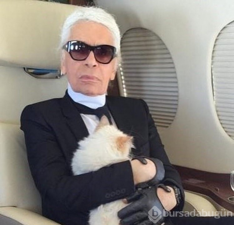 Karl Lagerfeld'in kedisi Met Gala'ya davet edildi
