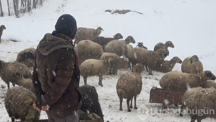Muş'ta Nisan ayının ortasında kar fırtınası