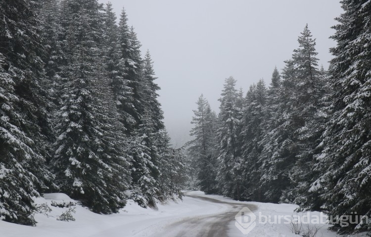 Bolu'da Nisan ayında kar sürprizi