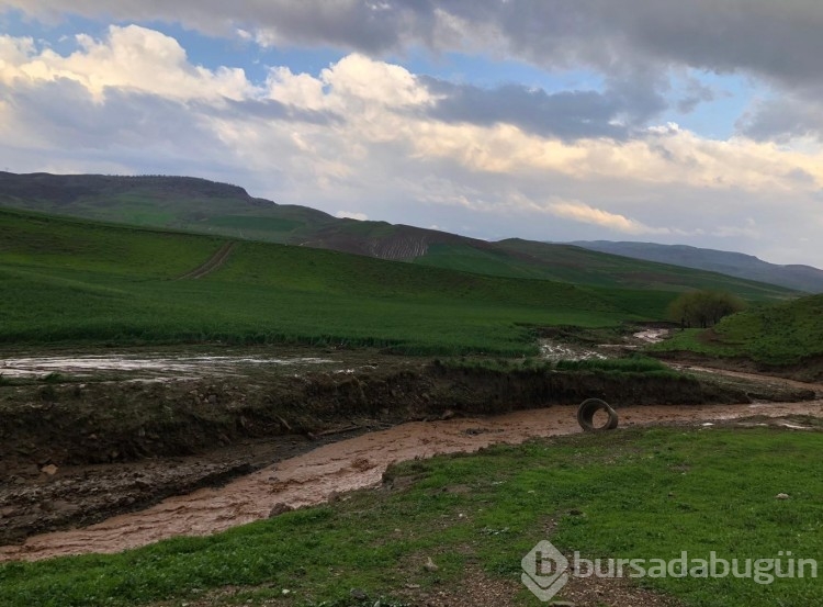 Siirt'te faciadan dönüldü! 