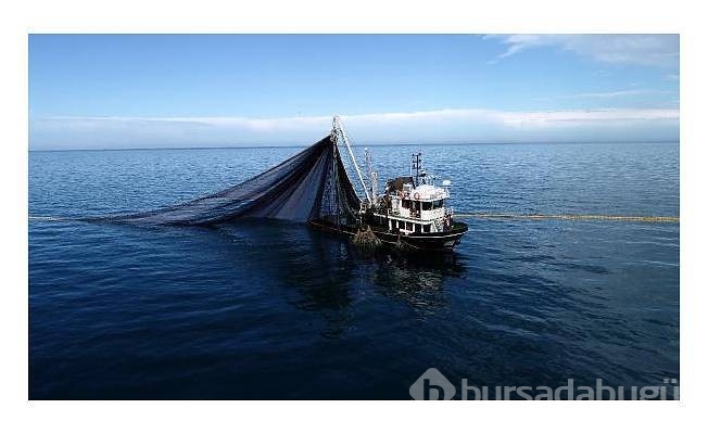 Batı Karadeniz bölgesindeki Balıkçılar sezonu kapatıyor