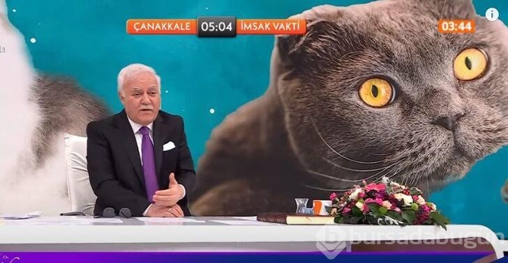 Nihat Hatipoğlu'na gelen "Büyü yapmak için kedilerin kuyruğunu kesmek günah mı?" sorusu dikkat çekti
