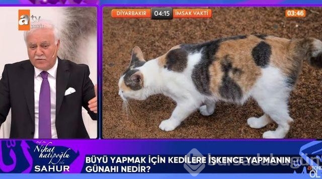 Nihat Hatipoğlu'na gelen "Büyü yapmak için kedilerin kuyruğunu kesmek günah mı?" sorusu dikkat çekti