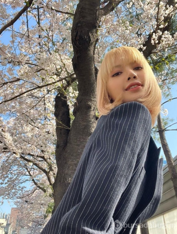 Blackpink isimli K-Pop grubu üyesi olan Lisa'nın adı yeni keşfedilen bitkiye verildi