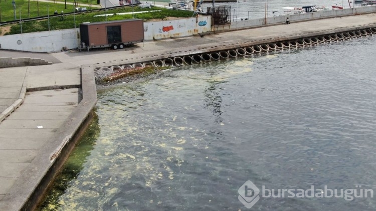 Marmara'da müsilaj kabusu geri mi döndü?
