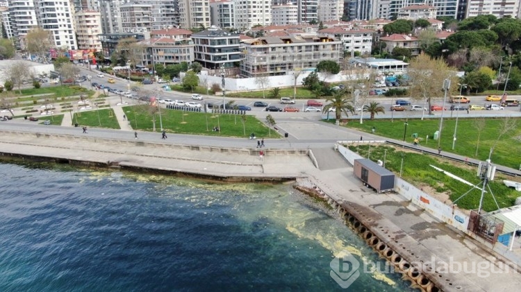 Marmara'da müsilaj kabusu geri mi döndü?