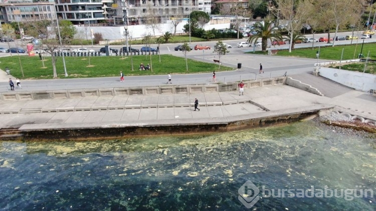 Marmara'da müsilaj kabusu geri mi döndü?