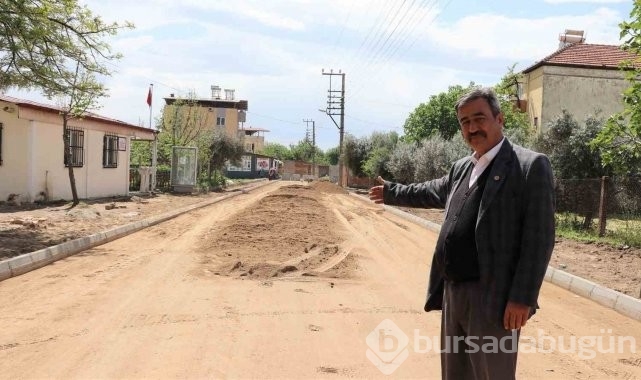 Bursa'da ilk kez görüntülenen o cinsin türü belli oldu!