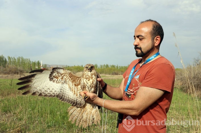Iğdır'da kuş halkalaması başladı