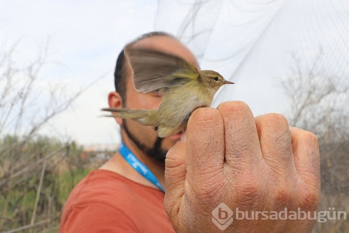 Iğdır'da kuş halkalaması başladı