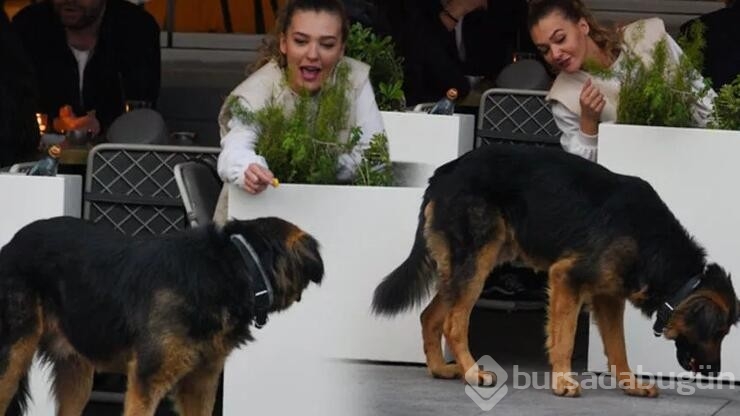 Güzel oyuncu Melisa Döngel sokak köpeğini besledi