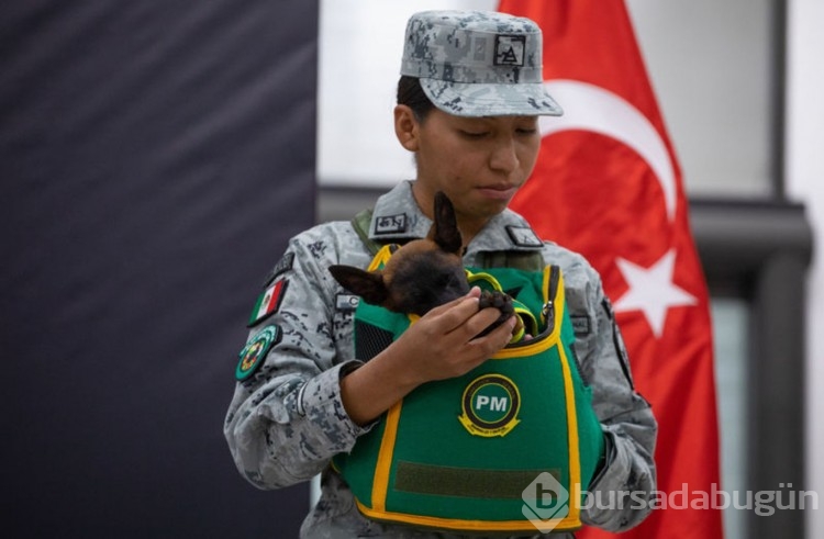 Türkiye'den Meksika'ya hediye