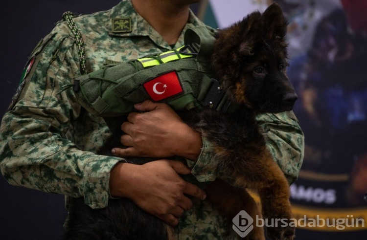 Türkiye'den Meksika'ya hediye
