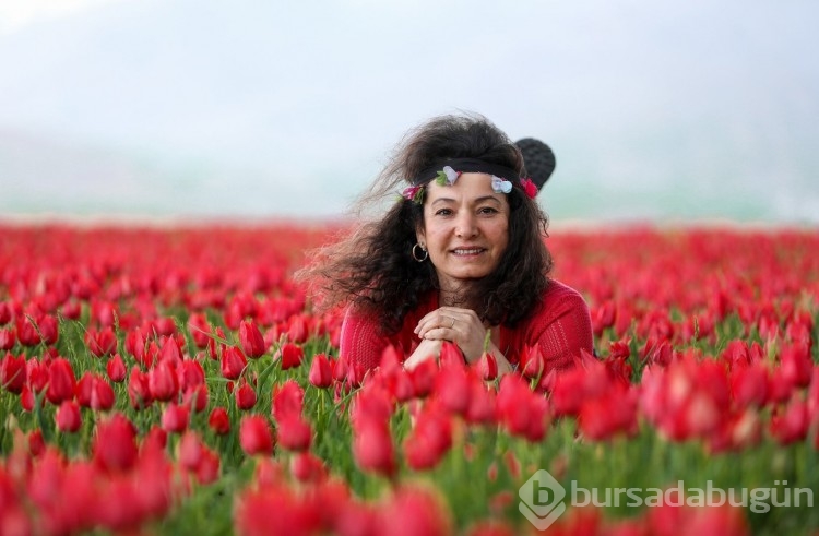 Muş Ovası, kırmızıya büründü
