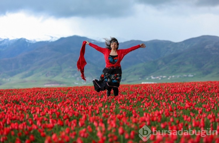 Muş Ovası, kırmızıya büründü