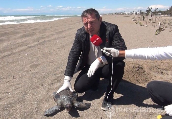 Denizin kadim canlısına ölüm tuzağı!