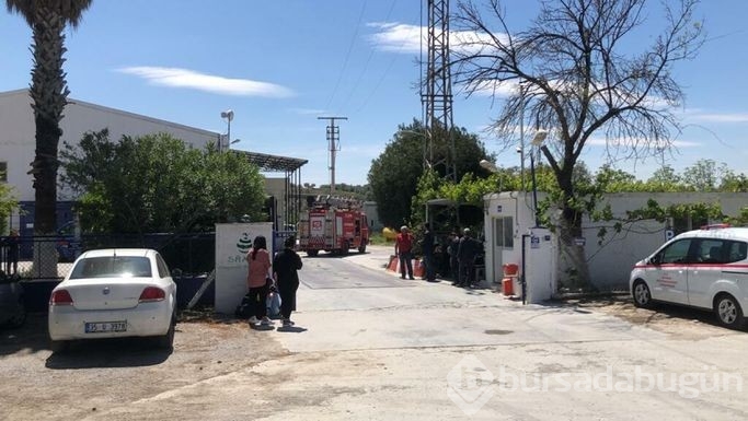 Soğuk hava deposundaki patlamadan acı haber geldi!
