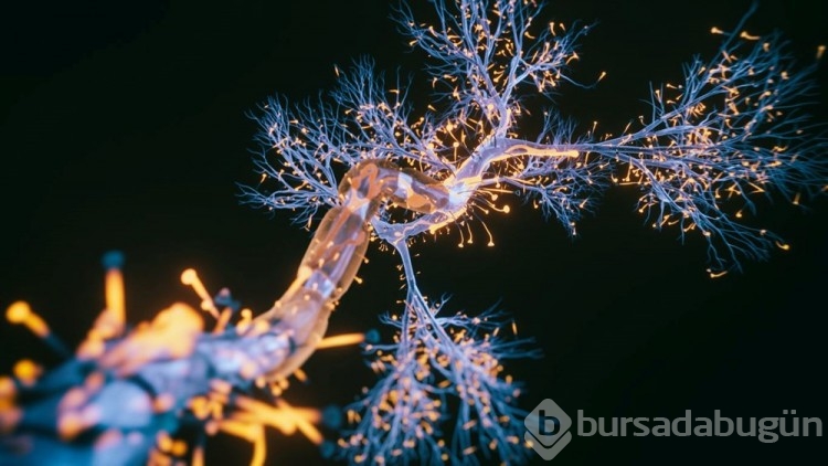 Alzheimer tedavisinde yeni çağ