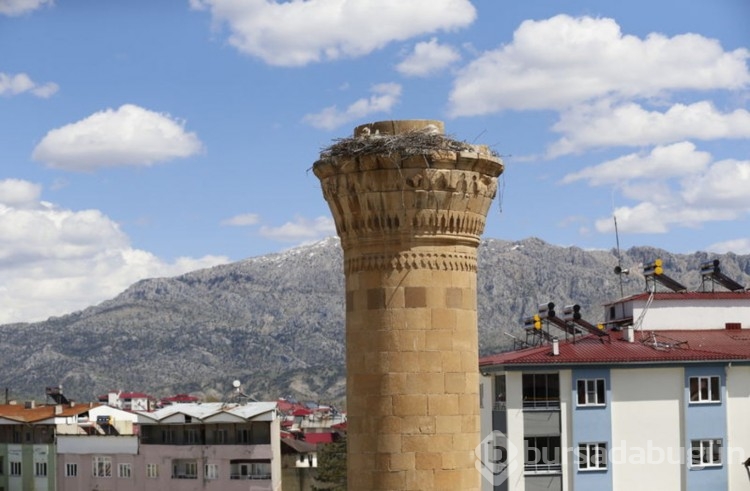 Şerefesi yıkılan minare leyleklere yuva oldu