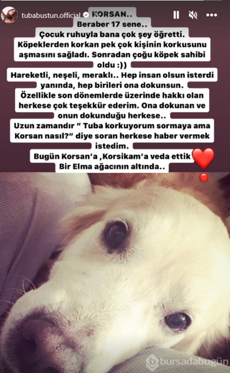 Tuba Büyüküstün köpeğini kaybetti