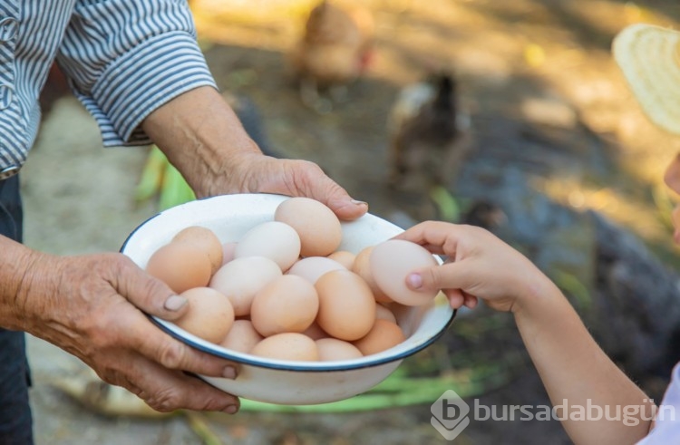 Fazla yumurta tüketmenin 5 tehlikeli yan etkisi
