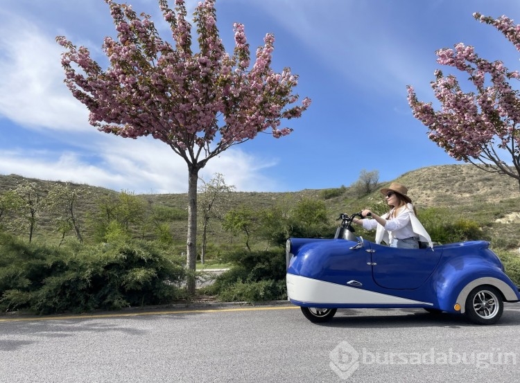 Sakura çiçekleri lezzete dönüşüyor