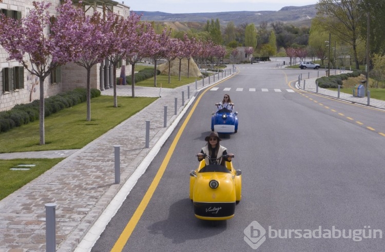 Sakura çiçekleri lezzete dönüşüyor