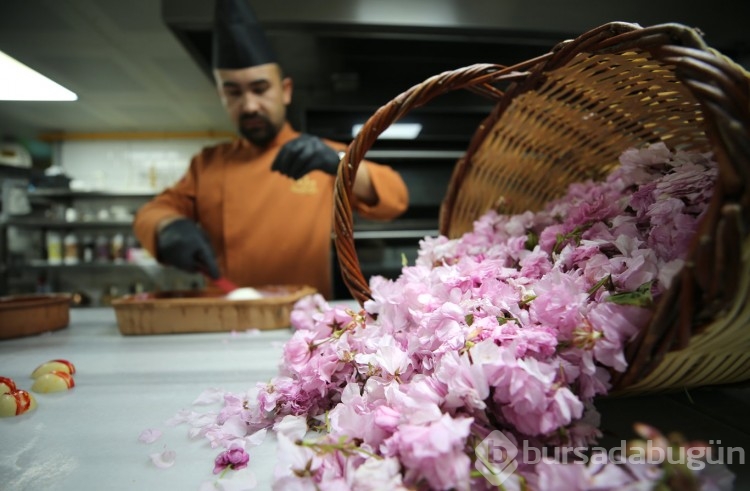 Sakura çiçekleri lezzete dönüşüyor