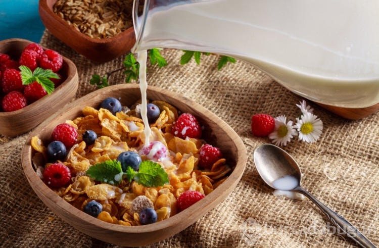 Fit ve sağlıklı vücudun düşmanı olan besinler
