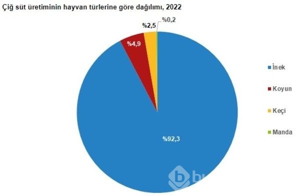 TÜİK, kırmızı et ve çiğ süt üretimi istatistiklerini açıkladı