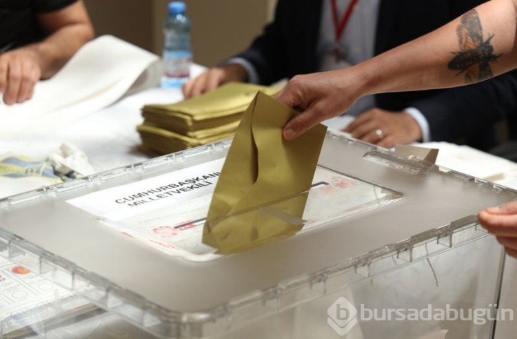 Müşahit nedir?