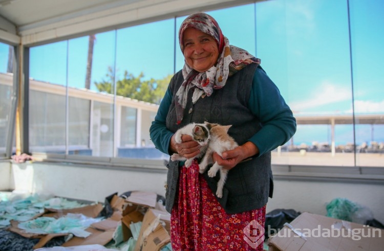 70 yaşındaki kadın 17 yıldır sahipsiz kedilere bakıyor