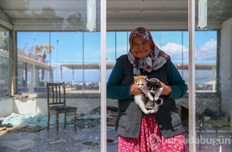 70 yaşındaki kadın 17 yıldır sahipsiz kedilere bakıyor