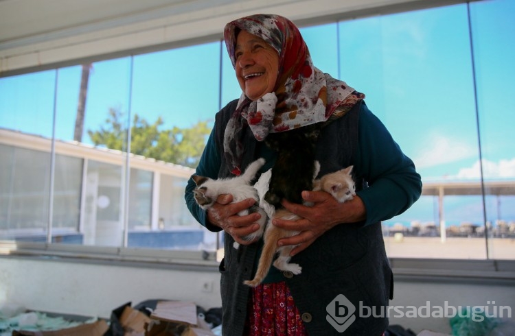 70 yaşındaki kadın 17 yıldır sahipsiz kedilere bakıyor