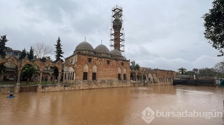 Balıklıgöl'de suyun rengi normale dönüyor